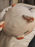 名創(chuàng  )優(yōu)品（MINISO）小豬B-BO彈力超柔趴姿毛絨公仔玩具玩偶抱靠枕娃娃送禮生日禮物女 曬單實(shí)拍圖