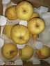 秦悅仙果鮮正宗山東黃金維納斯蘋(píng)果水果奶油新鮮整箱送禮品物盒年貨節 凈重4.5斤【單果160g+】丨很甜 【萬(wàn)里挑一】30年老樹(shù)果 曬單實(shí)拍圖
