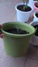 愛(ài)麗思花盆塑料圓形樹(shù)脂多肉花盆種花種菜盆綠蘿愛(ài)麗絲 7號淺綠色 曬單實(shí)拍圖