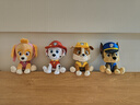 汪汪隊立大功（PAW PATROL）毛絨玩具狗狗陪睡玩偶經(jīng)典款天天中號坐姿可愛(ài)公仔男女孩生日禮物 曬單實(shí)拍圖