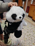 紫彤可愛(ài)熊貓玩偶公仔包包單雙肩小浣熊背包女生禮物毛絨玩具娃娃兒童 熊貓背包 35厘米（即是公仔，也是包包） 曬單實(shí)拍圖