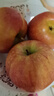 阿克蘇有機冰糖心蘋(píng)果【順豐京東】新疆富士健康無(wú)農殘有機水果 10斤大果【80-85mm】 曬單實(shí)拍圖