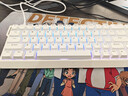 邁從（MCHOSE）Ace 68/60Pro磁軸鍵盤(pán) RT電競游戲客制化機械有線(xiàn)連接全鍵熱插拔雙驅動(dòng)無(wú)畏契約 Ace 68 電競版 白色 藍冰磁軸 曬單實(shí)拍圖