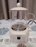 志高（CHIGO）迷你養生壺養生杯 電燉杯電熱杯恒溫花茶壺燒水壺辦公室杯子0.5L全玻璃杯體帶濾網(wǎng) 曬單實(shí)拍圖