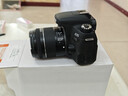 佳能EOS 750D 800D 77D 80D 90D 850D 760D 7D2半畫(huà)幅數碼單反相機 佳能77D+18-55stm標準鏡頭 原裝配件套餐 曬單實(shí)拍圖