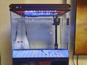 福路康超白玻璃免換水生態(tài)魚(yú)缸客廳小型水族箱落地金魚(yú)缸造景一體柜家用 白色500魚(yú)缸+柜子(超白玻璃) 曬單實(shí)拍圖