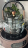 茗光煮茶壺電陶爐煮茶器蒸煮一體茶壺燒水煮茶爐養生壺2025年新款 曬單實(shí)拍圖