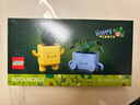 樂(lè )高（LEGO）積木10349快樂(lè )盆栽男女孩兒童玩具生日情人節禮物女友新年貨裝飾 曬單實(shí)拍圖