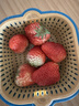 京鮮生 丹東99紅顏奶油草莓凈重2.8斤單果20g+ 源頭直發(fā)包郵 劉宇寧推薦 曬單實(shí)拍圖
