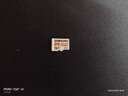 三星（SAMSUNG）256GB TF(MicroSD Express)P9固態(tài)存儲卡 適配Switch2游戲機運動(dòng)相機無(wú)人機內存卡 讀800MB/s 曬單實(shí)拍圖