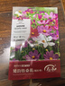 壽禾 格?；ǚN子種苗波斯菊花種籽 濰豐矮韻格?；ǚN子(矮稈型)1500粒 曬單實(shí)拍圖