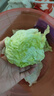 千牛優(yōu)福球生菜18斤 漢堡圓生菜西生菜輕食煎餅西餐食材新鮮沙拉蔬菜 18斤裝 曬單實(shí)拍圖