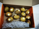 沭鮮園新西蘭陽(yáng)光金果同款奇異果特大果黃心獼猴桃禮盒裝【JD送貨上門(mén)】 陽(yáng)光金果【禮盒裝12只】 大果-單果85-95G 曬單實(shí)拍圖