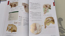 附視頻 推拿按摩的解剖學(xué)基礎 第六版 第6版 丁自海 張露清 人體結構肌肉解刨運動(dòng)系統局部療法物理康復治療師肌骨觸診與扳機點(diǎn) 圖書(shū) 曬單實(shí)拍圖