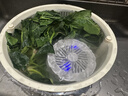 蘇泊爾果蔬凈化機 食材凈化器水果蔬菜肉類(lèi)谷物多功能清洗器 藍光殺菌去農殘無(wú)線(xiàn)便攜式洗菜機 清洗神器 【正品保障】純鈦電解片丨渦流凈化 曬單實(shí)拍圖