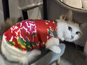 貝初眾貓咪衣服保暖小貓衣服狗狗衣服過(guò)年冬天德文布偶貓蛇年寵物衣服 東北大花棉襖 M 建議5-8斤 曬單實(shí)拍圖