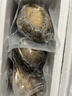金唐3-4頭鮮凍大鮑魚(yú)禮盒3斤9-12只 帶殼鮑魚(yú)肉貝類(lèi)海鮮火鍋食材 曬單實(shí)拍圖