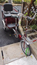 永久老年人力三輪車(chē)拉貨代步車(chē)接送小孩子老人力三輪變速自行車(chē)腳踏車(chē) 酒紅 16寸 變速 鋁合金 單輪 曬單實(shí)拍圖