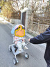 babycare頭等艙嬰兒推車(chē)高景觀(guān)遛娃神器輕便可折疊可坐躺雙向溜娃蒙因漸變 曬單實(shí)拍圖