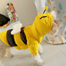 嬉皮狗（hipidog）寵物加厚變身裝蜜蜂兩腳羽絨服狗狗秋冬款保暖衣服中小型狗狗衣服 洛克黃 M （建議體重7-10斤） 曬單實(shí)拍圖