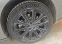 米其林（MICHELIN）汽車(chē)輪胎 245/45R19 102W 競馳 PILOT SPORT 4 適配小鵬P7/BYD漢 曬單實(shí)拍圖