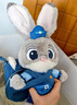 迪士尼（Disney）瘋狂動(dòng)物城朱迪斜挎包兔子玩偶包毛絨玩具情人節禮物女孩生日禮物 曬單實(shí)拍圖