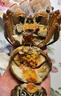 全母大閘蟹禮盒大閘蟹花雕熟醉蟹 熟食螃蟹 送禮 送長(cháng)輩領(lǐng)導 全母蟹8只裝(每只3.1-3.6兩) 曬單實(shí)拍圖