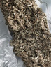 伊梵麥【熱銷(xiāo)1w+】野生艾葉草干艾草葉家用中藥材月子專(zhuān) 天然艾草5斤 曬單實(shí)拍圖