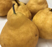 【熱賣(mài)】生鮮年貨山東煙臺丑梨啤梨軟糯香甜當季新果產(chǎn)地直發(fā)包郵 4.5斤凈重特大果單果300g【普通裝 放軟食用】 曬單實(shí)拍圖