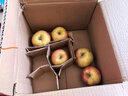 果陸園新疆冰糖心蘋(píng)果丑蘋(píng)果 脆甜時(shí)令蘋(píng)果 富士平果節日送禮平安果 精選9-10斤果徑75-90MM凈8.5斤 曬單實(shí)拍圖