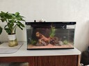 畫(huà)法幾何魚(yú)缸造景套餐仿真沉木造景米家智能魚(yú)缸專(zhuān)用 曬單實(shí)拍圖