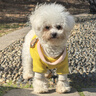 歡寵網(wǎng)寵物狗狗衣服貓咪貓小狗小貓泰迪比熊貓貓小型犬幼犬冬季保暖服飾 曬單實(shí)拍圖