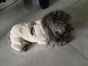 曇蓓漫泰迪衣服寵物小型犬狗狗衣服秋冬季保暖比熊博美幼犬四腳牽引狗衣 淺棕色M碼（建議4-6斤） 升級優(yōu)質(zhì)珊瑚絨-【加絨加厚】 曬單實(shí)拍圖