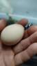 憶鄉嶺雞蛋 散養谷物蛋 農家山林喂養 初生鮮土雞蛋 6枚240g 曬單實(shí)拍圖