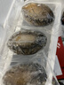 金唐3-4頭鮮凍大鮑魚(yú)禮盒3斤9-12只 帶殼鮑魚(yú)肉貝類(lèi)海鮮火鍋食材 曬單實(shí)拍圖