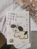 小狗疑心大宇宙陰謀篡奪它的位置 泰戈爾詩(shī)集京東專(zhuān)享附贈大量小狗周邊 正版書(shū)籍  小狗戀愛(ài)了 曬單實(shí)拍圖