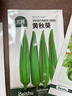 北蔬 甜椒種子種苗不辣青椒燈籠椒盆栽四季蔬菜種籽 綠甜椒種子20粒 曬單實(shí)拍圖