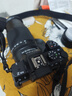 尼康（Nikon）【全新國行正品】Z50II/Z50ii/ Z502/Z50二代入門(mén)級微單相機輕便 Vlog濾鏡直出z50二代單機/單機 Z50II 16-50 50-250雙頭套機 標配【送膜+座充 曬單實(shí)拍圖
