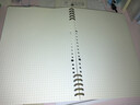 得力（deli）文具B5/60張活頁(yè)本替芯26孔筆記本子活頁(yè)紙內頁(yè)考研作業(yè)本方格單本NB560-2 曬單實(shí)拍圖