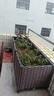 田田綠加深蔬菜種植箱特大陽(yáng)臺種菜盆花盆天臺屋頂菜園種菜種花盆長(cháng)方形 深3聯(lián)長(cháng)120寬40高37 加深款 曬單實(shí)拍圖