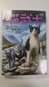 貓武士五部曲（全6冊）曲族群黎明 兒童文學(xué)動(dòng)物小說(shuō)自主閱讀生存勇氣成長(cháng)勵志 奇幻冒險小說(shuō) 中小學(xué)生青少年提升寫(xiě)作作文能力 課外書(shū)王芳推薦暑假作業(yè) 一升二暑假銜接 小升初暑假銜接  曬單實(shí)拍圖