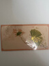 洧宜彩色葉脈金屬書(shū)簽送學(xué)生故宮文創(chuàng  )紀念品中國風(fēng)復古鏤空銀杏葉創(chuàng  )意伴手禮實(shí)用小禮品生日禮物女生 曬單實(shí)拍圖