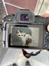 佳能（Canon）EOS R8 全畫(huà)幅微單相機 單機身（旅游掃街/2420萬(wàn)像素/輕便小巧/高清直播/暗光清晰） 曬單實(shí)拍圖