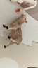 babycare&bctoys兒童玩具實(shí)心仿真農場(chǎng)動(dòng)物桶動(dòng)物模型奶牛綿羊金毛犬 曬單實(shí)拍圖