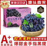 橙市碼頭【京鮮配送】金手指葡萄 藍寶石黑加倫提子禮盒 無(wú)籽生鮮團建送禮 金手指葡萄 3斤 【精美禮盒 凈重2.5斤 】 曬單實(shí)拍圖