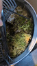 柯必達青苔蘚鮮活苔蘚微景觀(guān)植物盆景盆栽水陸缸假山草造景材料白 大灰蘚(15*8)cm 10盒 曬單實(shí)拍圖