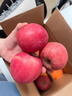 順豐正宗新疆阿克蘇櫻桃小蘋(píng)果4斤新鮮水果脆甜紅富士丑萍果禮盒M 5斤中果禮盒裝【順豐甄選】 曬單實(shí)拍圖