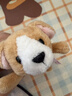 NICI寵物摯友毛絨公仔小棕狗鑰匙扣包包掛飾小灰貓冰箱貼收納公仔玩具 小棕狗 鑰匙扣 10cm 尺寸見(jiàn)詳情 曬單實(shí)拍圖