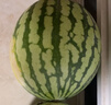 桃李村海南麒麟無(wú)籽西瓜6-7斤大西瓜水果新鮮采摘沙瓤整箱8424 精選1個(gè)無(wú)禮盒【單果6-7斤】 曬單實(shí)拍圖
