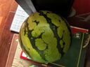 正宗麒麟西瓜超甜廣東薄皮8424冰糖西瓜甜王新鮮水果產(chǎn)地直發(fā) 6-7斤【農家自種 現摘脆甜】 曬單實(shí)拍圖